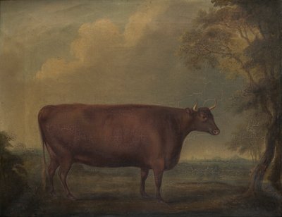 Rode Devon vaarsen in landschap door Thomas Weaver