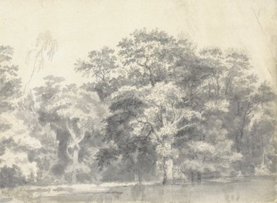 Bomen aan een Rivieroever door Thomas Wyck