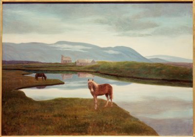 Thingvellir door Thorarinn B. Thorlaksson