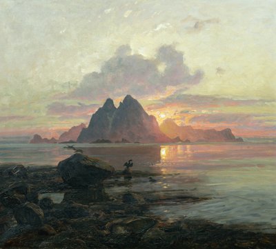 Phalacrocoarax aristotelis in middernachtzon door Thorolf Holmboe