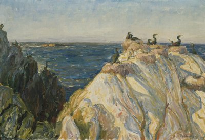 Zeevogel door Thorolf Holmboe