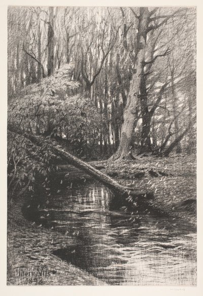 Boslandschap met een beek door Thorvald Niss