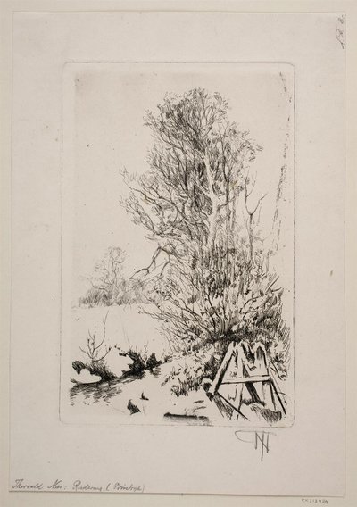 Bomen bij een beek door Thorvald Niss