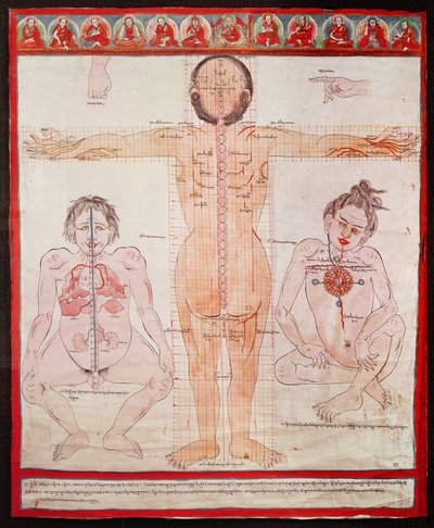 Anatomische kaart, 1938 (pen en aquarel op doek op canvas) door Tibetan School