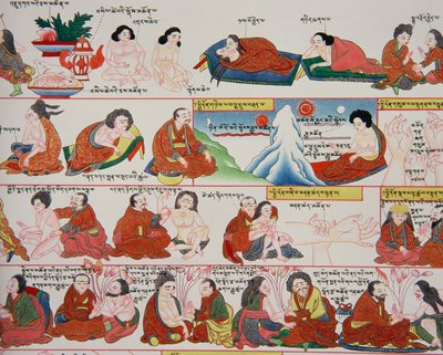 Manuscript over Tibetaanse geneeskunde (detail) door Tibetan School