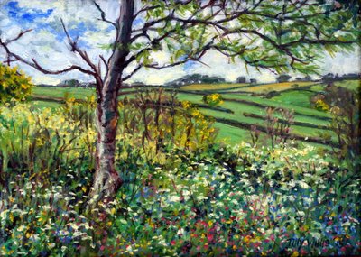 Over de Velden door Tilly Willis