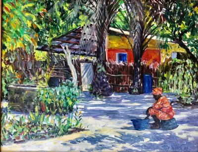 Afrikaanse Schaduwen door Tilly Willis