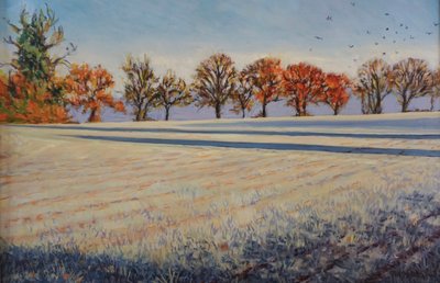 Vorst op het Veld, 2024 door Tilly Willis