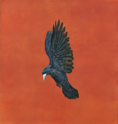 Schijn-Rood door Tim Hayward