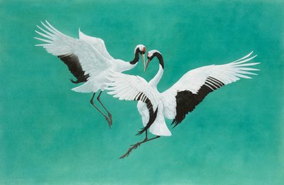 De Dans-Groen door Tim Hayward
