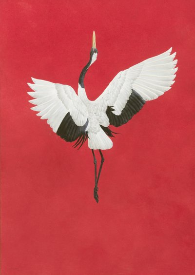 De Dans-Rood door Tim Hayward