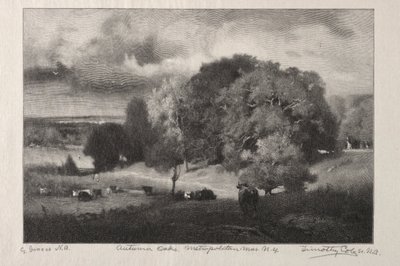 Herfst eiken door Timothy Cole
