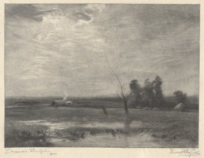 Landschap, Middag door Timothy Cole