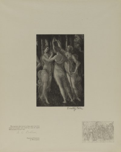 Oude Italiaanse Meesters door Timothy Cole