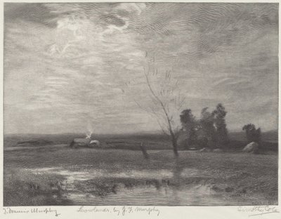 Laaglanden door Timothy Cole after John Francis Murphy