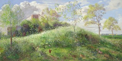 Fluitenkruidheuvel, 1991 door Timothy Easton