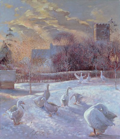 Eerste licht, 1994 door Timothy Easton