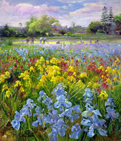 Spitteams en Irisvelden door Timothy Easton