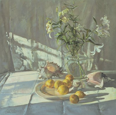 Reflecties en Schaduwen door Timothy Easton