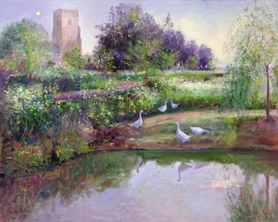 Zonsondergang Reflecties door Timothy Easton