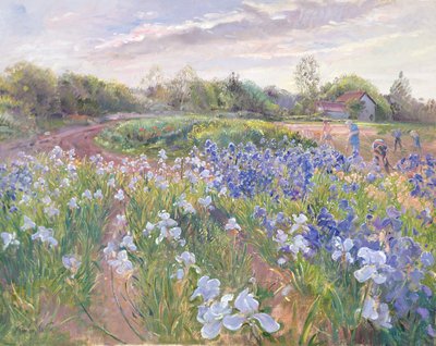 Zonnestraal op Irissen, 1996 door Timothy Easton
