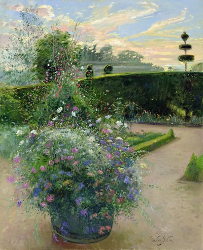 Witte Margrieten Tegen de Lathyrus Trellis door Timothy Easton