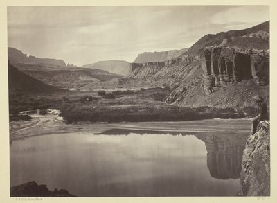 Uitzicht over de Colorado rivier naar de monding van Paria Creek door Timothy O