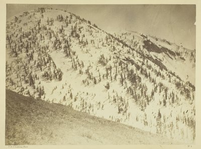 Sneeuwtoppen, Bull Run-mijndistrict, Nevada door Timothy O