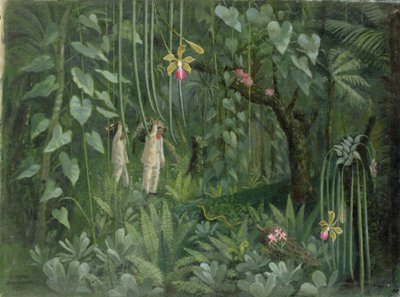 Orchideeënjagers van Brazilië door Tirzah Ravilious