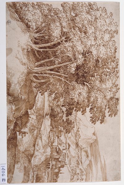Landschap met bomen links en een stad op de achtergrond door Titian (c.1488 1576)