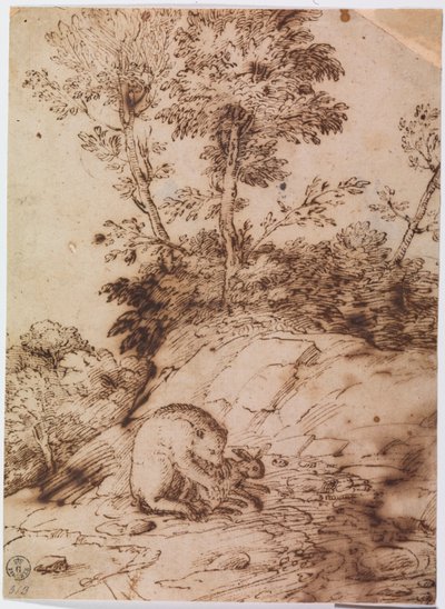 Een beer die een konijn eet door Titian (c.1488 1576)