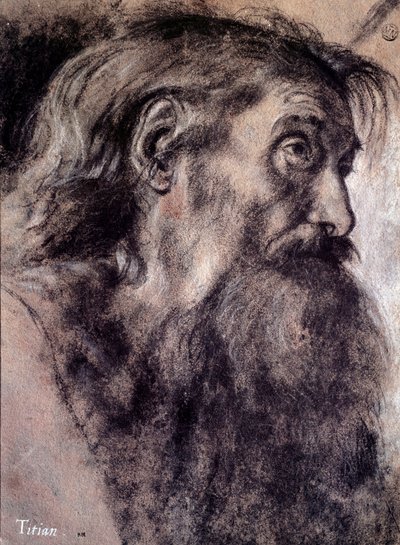 Hoofd van een oude man Tekening door Tiziano Vecellio genaamd Titiaan (1485-1576) 16e eeuw Parijs, Louvre Museum door Titian (c.1488 1576)