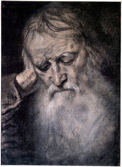 Hoofd van een oude man door Tiziano Vecelli