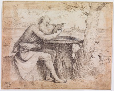 Sint Hiëronymus in een landschap door Titian (c.1488 1576)