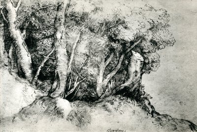 Boslandschap, ca. 1516-1518, 1937 door Tiziano Vecelli
