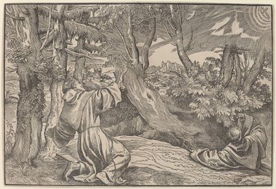 Sint Franciscus ontvangt de stigmata door Titian