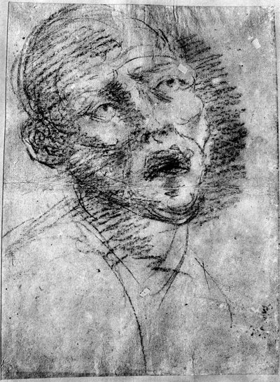 Hoofd van een Moor, ca. 1525 door Tiziano Vecelli
