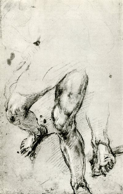 Studie voor de martelaarschap van St. Lawrence in Venetië door Tiziano Vecelli