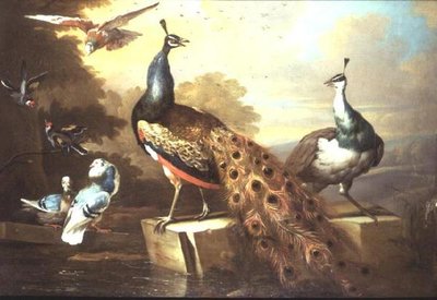 Pauw en pauwhen in een landschap door Tobias Stranover