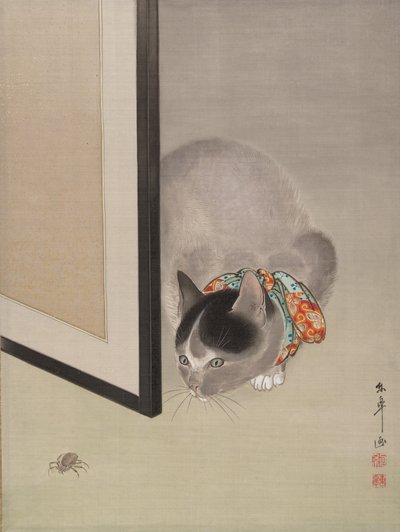 Kat die een Spin Bekijkt, ca. 1888-92 door Toko Oide