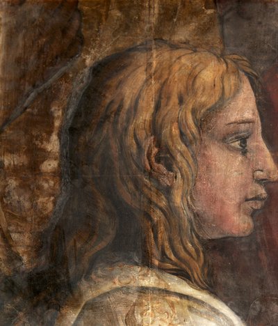 Een hoofd uit het karton voor het wandtapijt van De presentatie in de tempel (detail) door Tommaso Vincidor