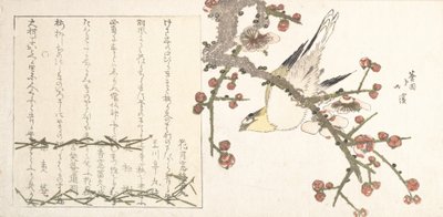 Bush Warbler op een pruimentak Ume ni uguisu door Totoya Hokkei