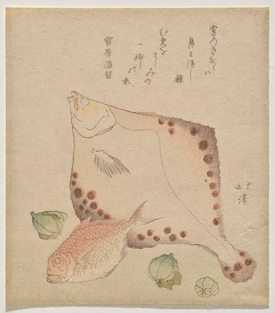 Bot, zeebrasem met fukujus? knoppen door Totoya Hokkei