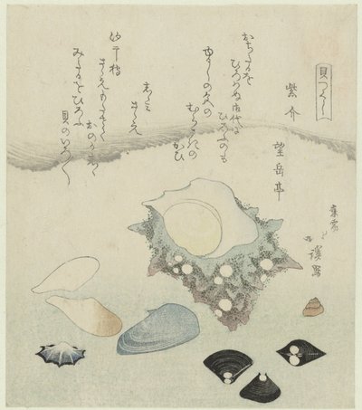 Paarse schelp, zoetwater venusschelpjes en een tulbandschelp door Totoya Hokkei