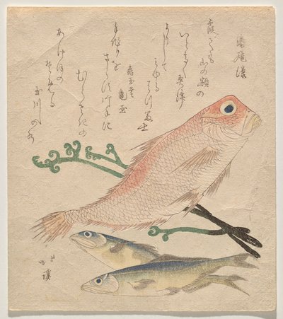 Roze zeebrasem (shiro-amadai) en twee kleine forellen (ai) door Totoya Hokkei