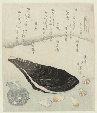 Plevierschelpjes, rauwe mossel en brokaat schelp door Totoya Hokkei