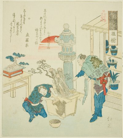 Potplant (Ueki), uit de serie "Achttien Illustraties van de Ladder van Oude Woorden (Kogentei juhachiban tsuzuki)" door Totoya Hokkei