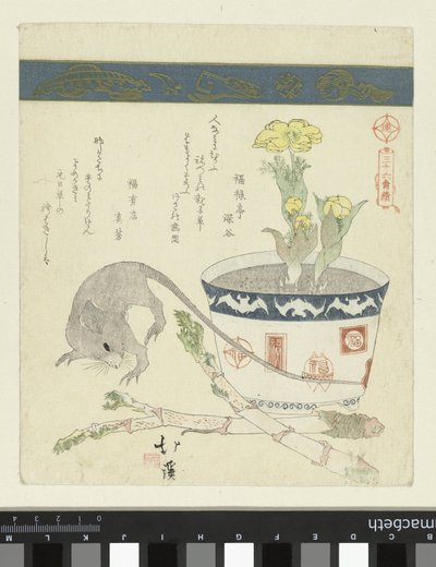 Rat en kom met Adonis door Totoya Hokkei