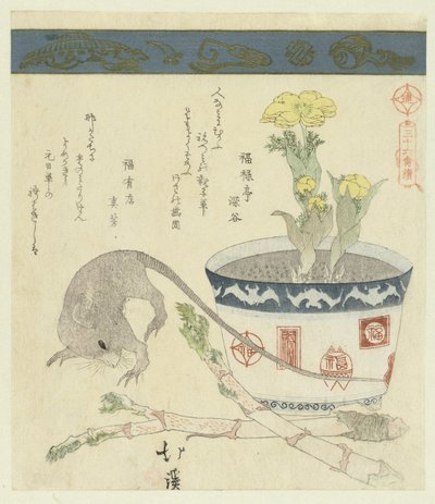 Rat en kom met adonis door Totoya Hokkei