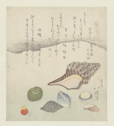 Reflectieschelp, ivoorschelp en tritonschelp door Totoya Hokkei